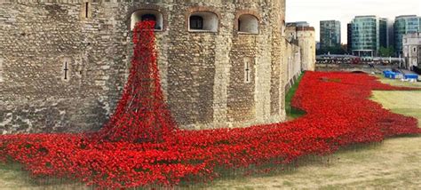 888,246 Poppies At Tower Of London Commemorate Each British And ...