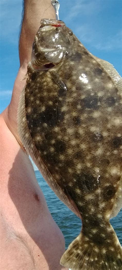 Fishing Report - Keeper flounder | Tidal Fish Forum