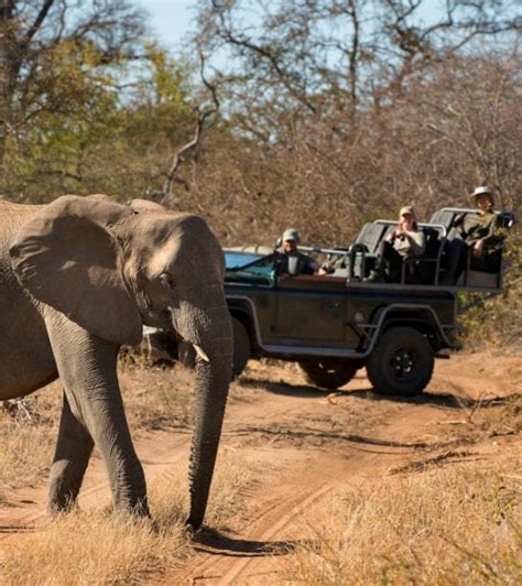 RockFig Safari Lodge, Kruger National Park | kimkim