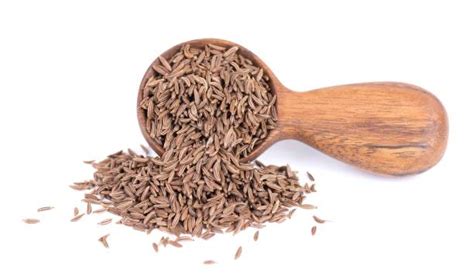 Caraway Seeds – Mady Oglu