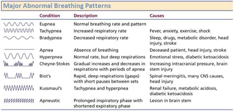 Cheyne Stokes Breathing and Kussmaul Respirations Differences