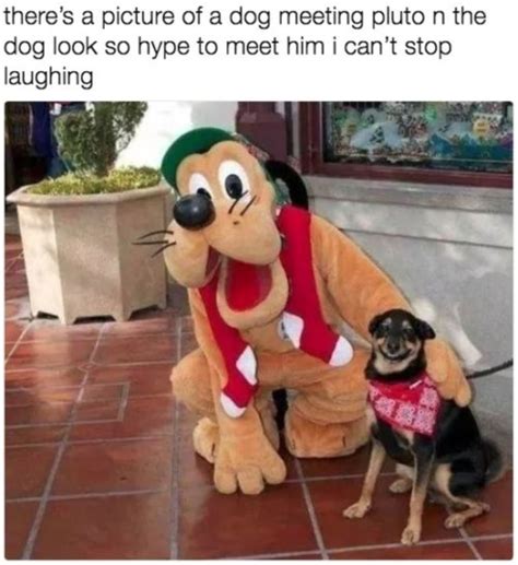 Always meet your heroes | Wholesome Memes | Know Your Meme