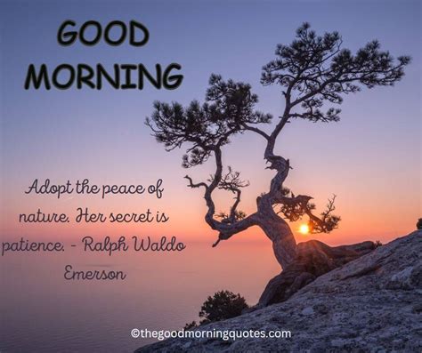 54+ Beautiful Good Morning Nature Quotes - Good Morning Quotes