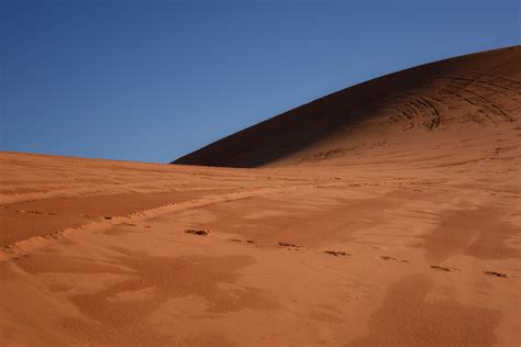 Coral Pink Sand Dunes | Shutterbug