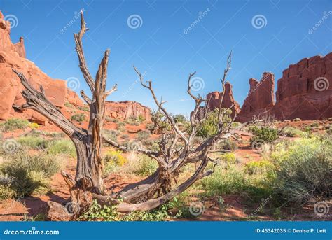 Southwest Desert Landscape Royalty-Free Stock Photography ...