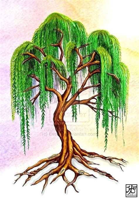 Simple Willow Tree Drawing at PaintingValley.com | Explore collection ...