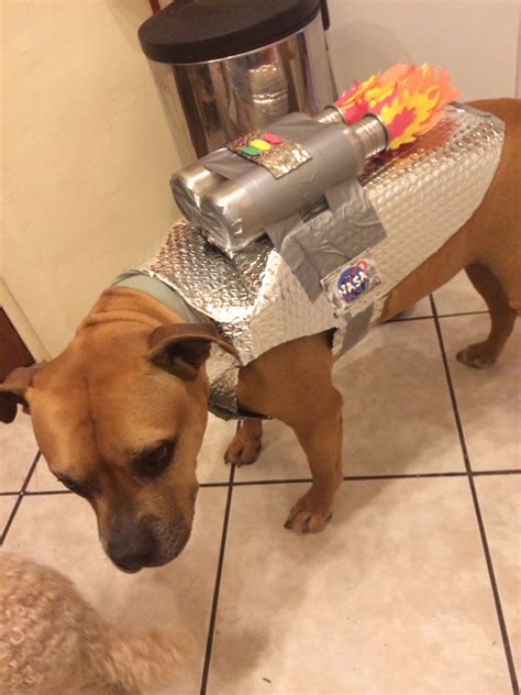 √ Diy Dog Costumes For Big Dogs