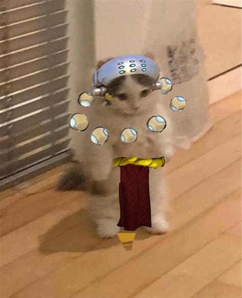 zenyatta cat pfp! :) in 2022 | Anime cat, Overwatch, Cat icon