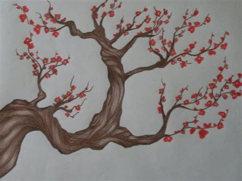 Sketch Pencil Sketch Cherry Blossom Tree Drawing - kundelkaijejwlascicielka