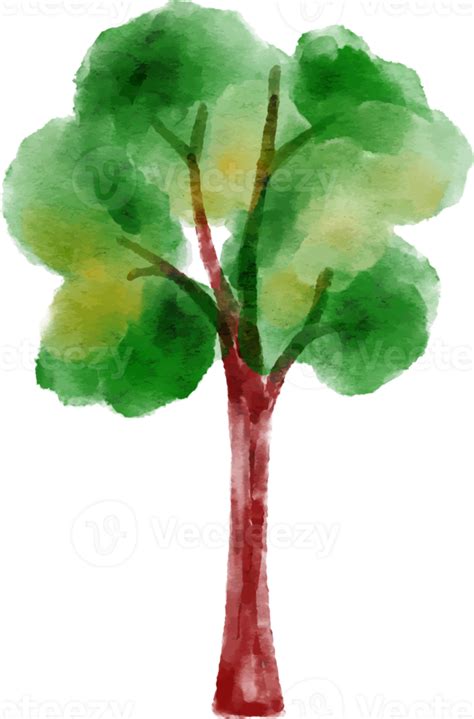 Watercolor Tree Illustration 12520950 PNG