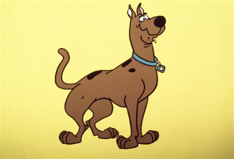 'Scooby-Doo' 50th anniversary: Meet real-life Scooby dogs [Video]