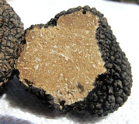 Black Truffles: The Best Places in the World to Enjoy This Delicacy ...