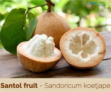 Santol fruit facts and health benefits