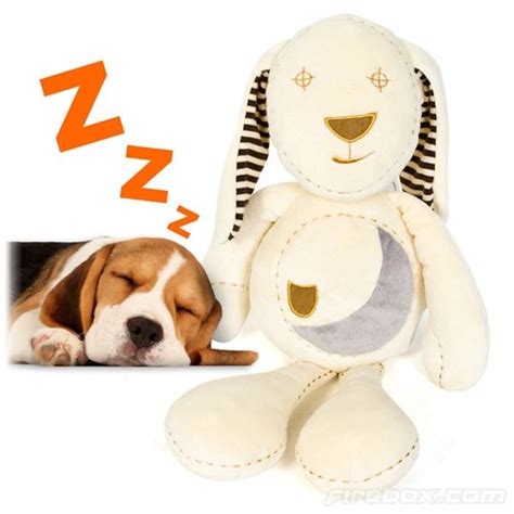 Sleepy Bunny Helps Pups Sleep Through the Night-might help a puppy who ...