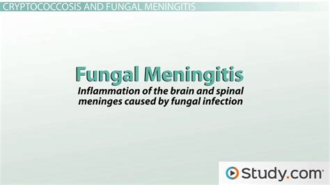 Cryptococcus | Symptoms & Treatment - Lesson | Study.com