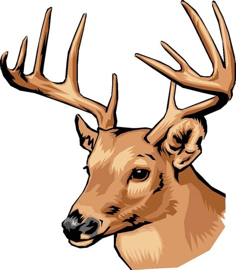 Buck Deer Clipart | Free download on ClipArtMag