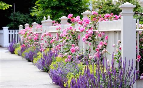 White Picket Fence Garden Ideas That Will Make You Say WOW - Top Dreamer