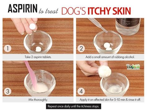 Home Remedies to Deal with Itchy Skin in Dogs | Top 10 Home Remedies