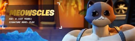 The Buff Cat From 'Fortnite' Explained | Cracked.com