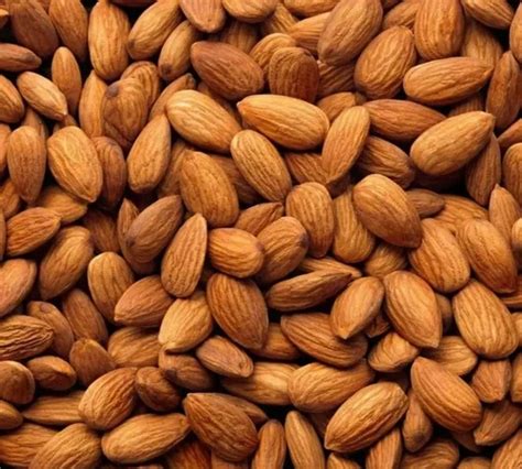 Fresh Almond Nut at Rs 650/kg | Organic Almond Nuts in Chennai | ID ...