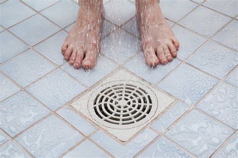 9 Common Causes of Clogged Drains and Solutions | Tips from Your New ...