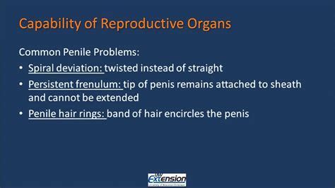 Part 3: Factors fertility - YouTube