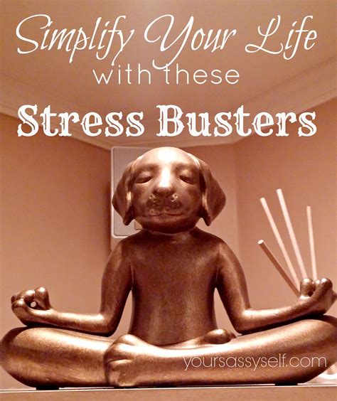 Life getting too stressful for you? Check out these super easy stress ...