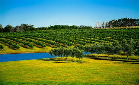 Los paisajes de Uruguay más impresionantes