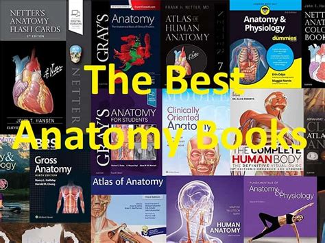 The Best Anatomy Books PDF for Medical Students | BooksDoctor