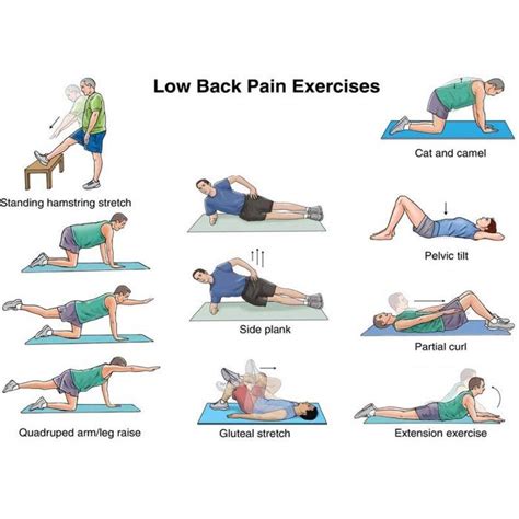 Core Exercises For Back Pain Sufferers - Exercise Poster