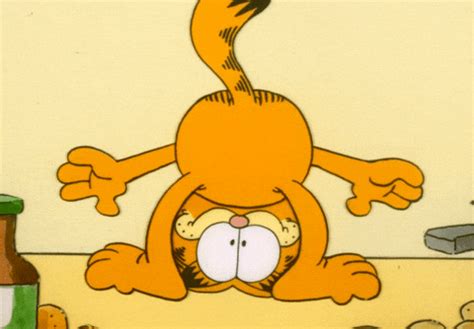 Happy Upside Down GIF by Garfield - Find & Share on GIPHY