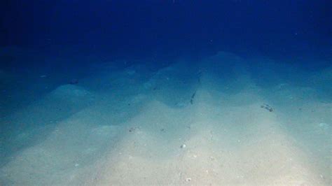 The unseen man-made 'tracks' on the deep ocean floor - Lanka Talents