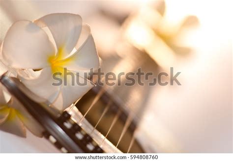 439 Guitar Spa Images, Stock Photos & Vectors | Shutterstock