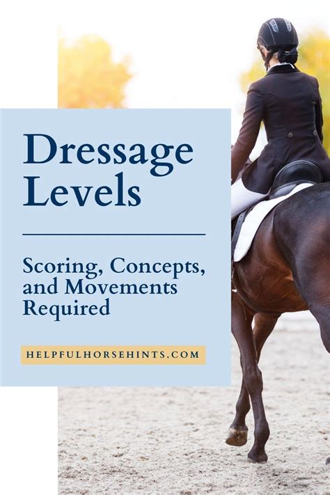 Dressage Levels Explained - Beginner Tips & Tricks + Practice Routines ...