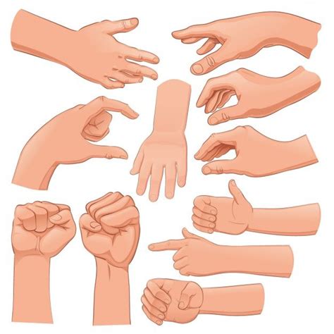 Free Vector | Human hands set | Vector free, Human, Human hand