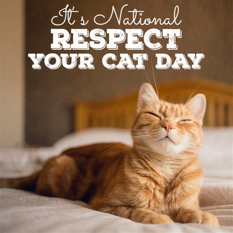 Respect Your Cat Day 2024 - Kati Sascha