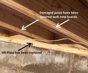 Floor Joist Repair Plates | Review Home Co