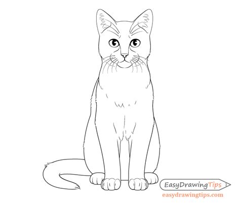 How to Draw a Cat Step by Step From Front View - EasyDrawingTips | Cat ...