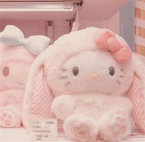 sanrio | Softcore aesthetic, Softie aesthetic, Kawaii plushies