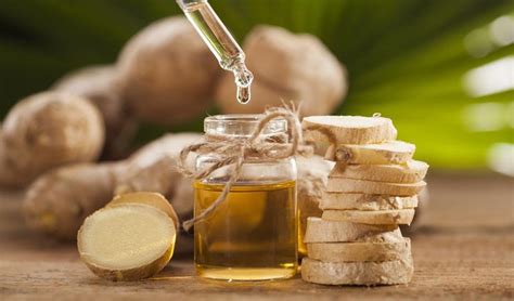 Health Benefits of Ginger Oil: The magical medicine - Natural cure ...