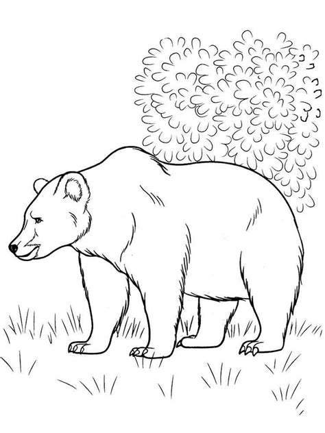 Forest Animals coloring pages