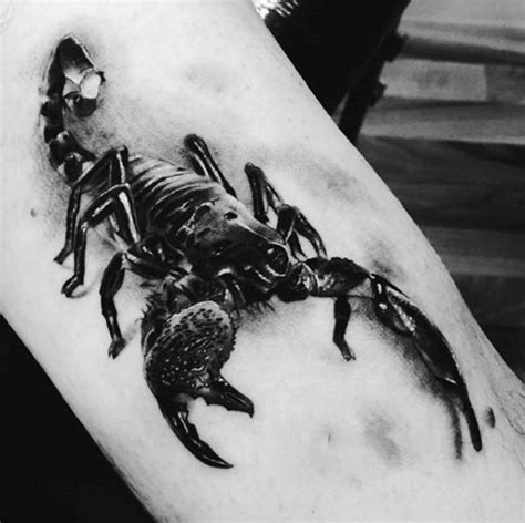 Great scorpion pictures - Tattooimages.biz