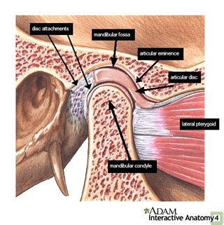 What Is TMJ? What Everyone With Jaw Pain Should Know