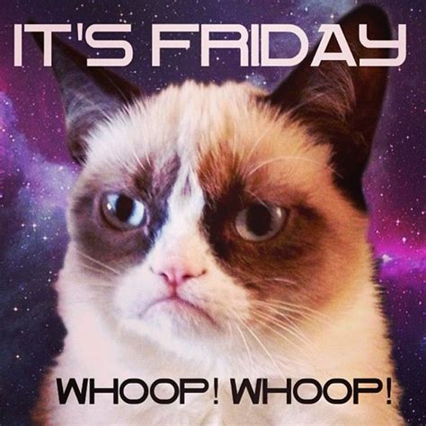 Happy Friday Grumpy Cat