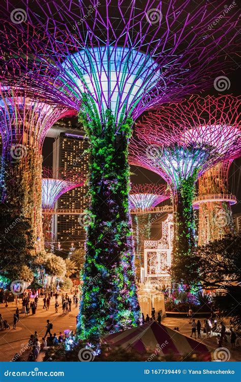 SINGAPORE: Supertrees Illuminated for Light Show in Gardens by the Bay ...