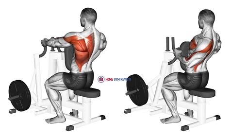 Lever Alternating Narrow Grip Seated Row (plate loaded) - Home Gym Review