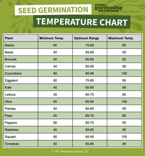 The Beginner Gardener's Seed Germination Temperature Chart - Food ...