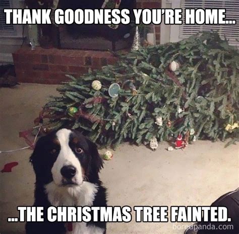 50 Hilarious Christmas Memes | Bored Panda