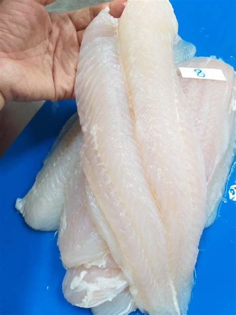 FROZEN WELL-TRIMMED PANGASIUS FILLET