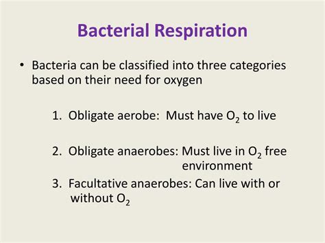 PPT - BACTERIA PowerPoint Presentation, free download - ID:2016471